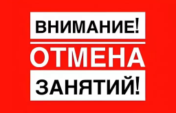 Отмена платных детских групп тренера Зубиной О.А. с 27 мая.