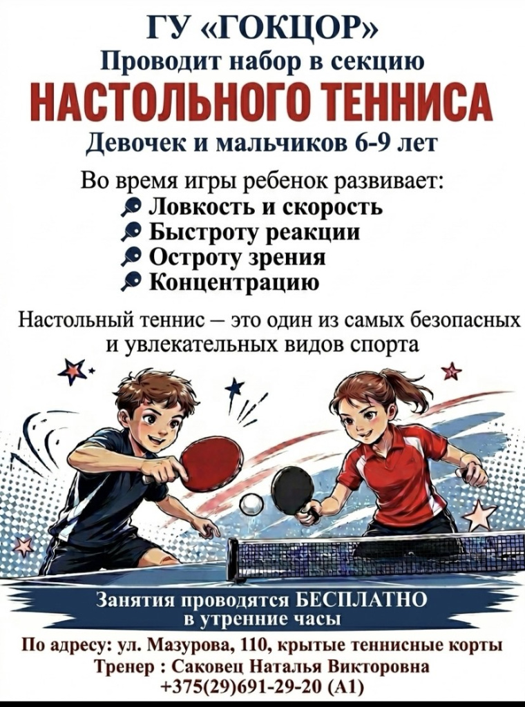настольный теннис.jpg
